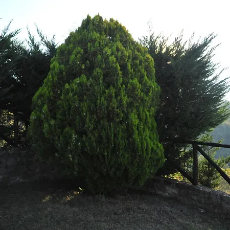 ファームステイ I Muri Monte Santa Maria Tiberina