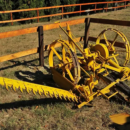 I Muri Monte Santa Maria Tiberina