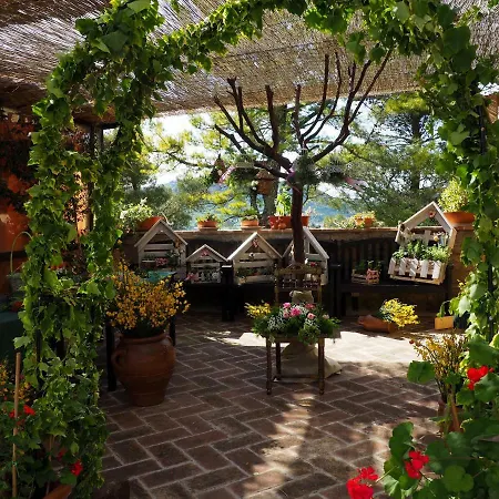 I Muri ファームステイ